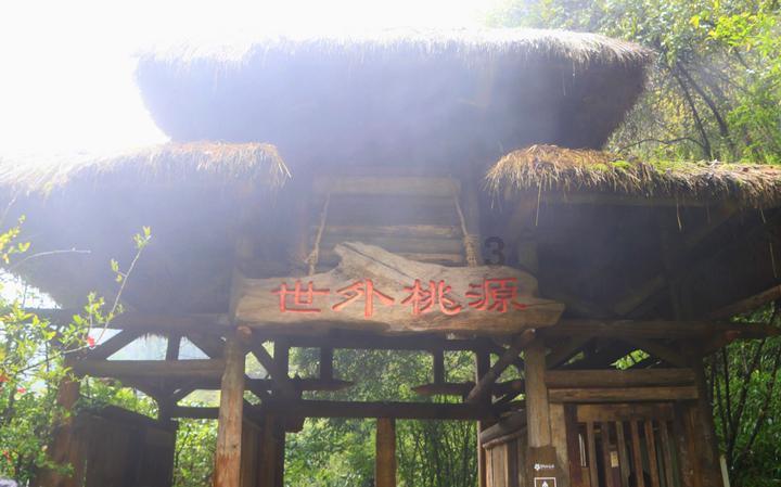 极品飞车ONLINE